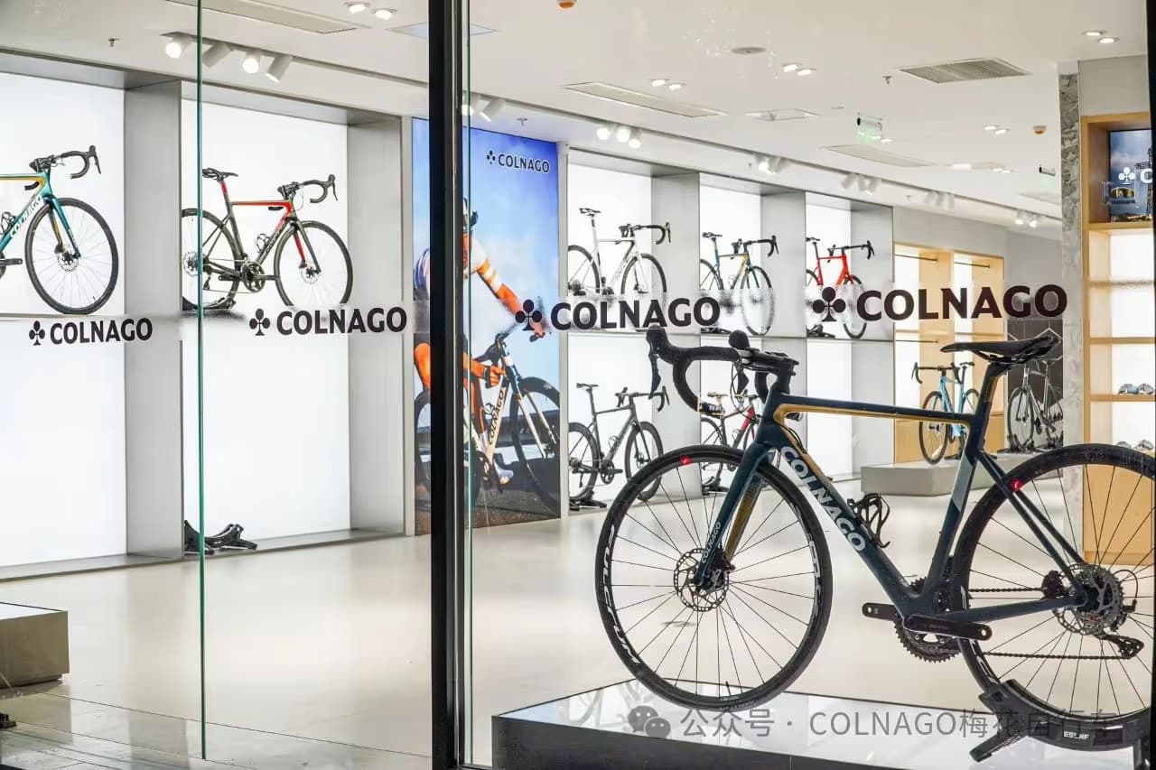 COLNAGO - Image 2